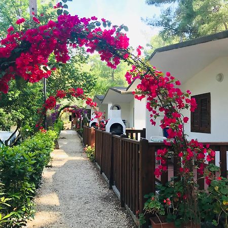 Camping Villaggio Internazionale San Menaio Εξωτερικό φωτογραφία