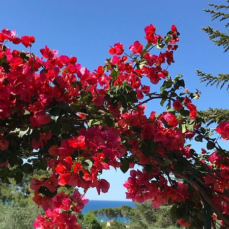 Camping Villaggio Internazionale San Menaio Εξωτερικό φωτογραφία