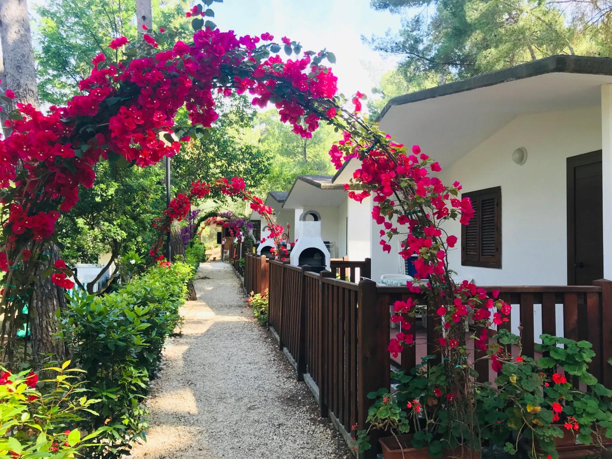 Camping Villaggio Internazionale San Menaio Εξωτερικό φωτογραφία