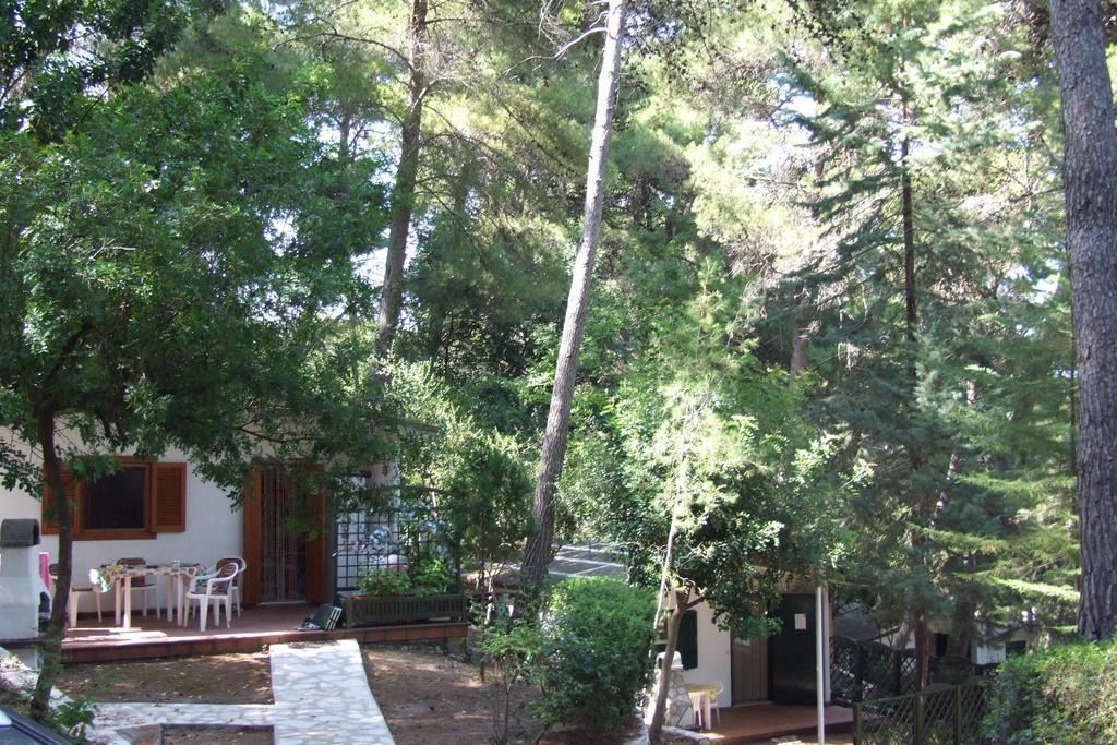 Camping Villaggio Internazionale San Menaio Δωμάτιο φωτογραφία